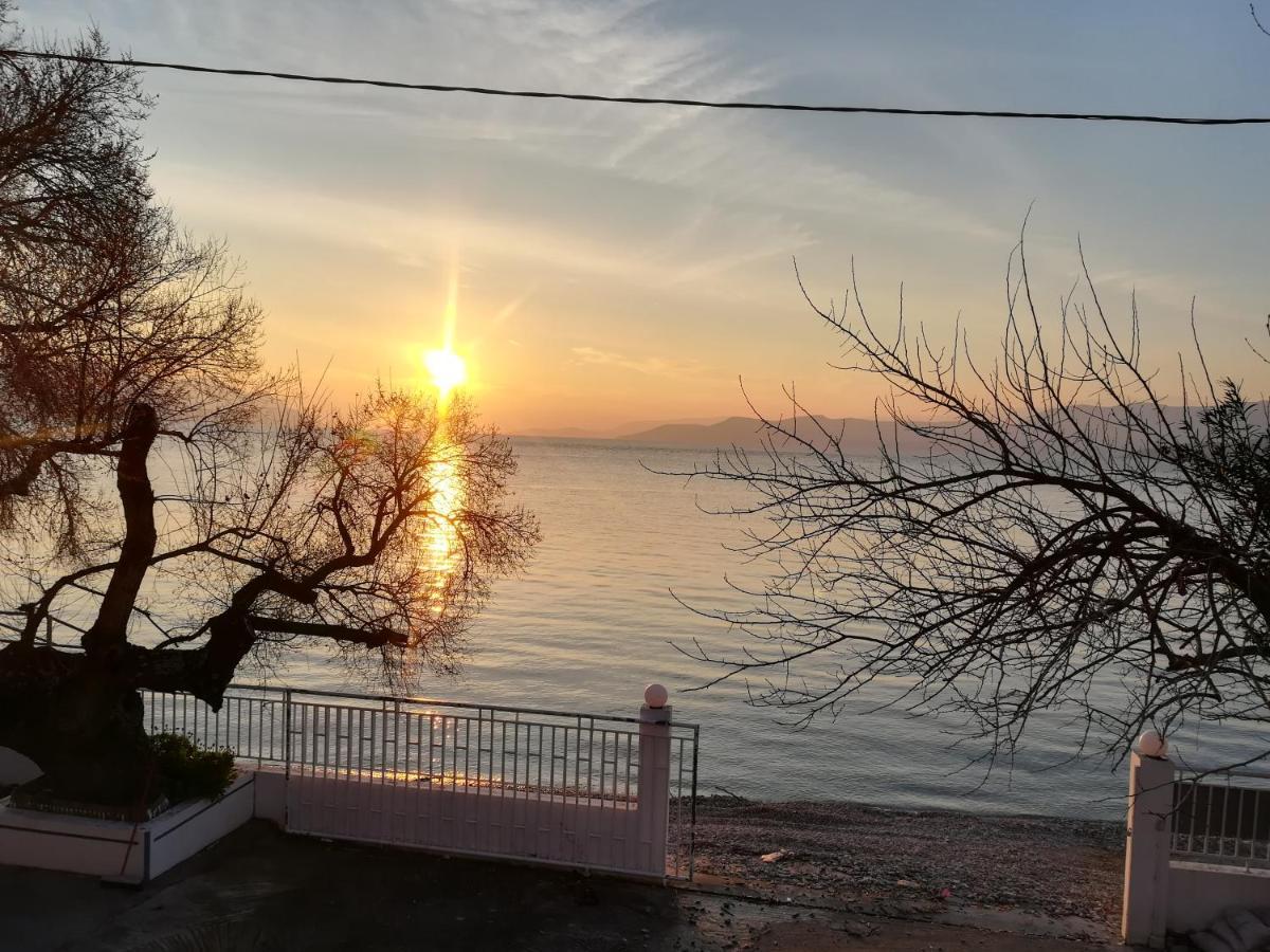 Akrogiali Agiokampos  Esterno foto